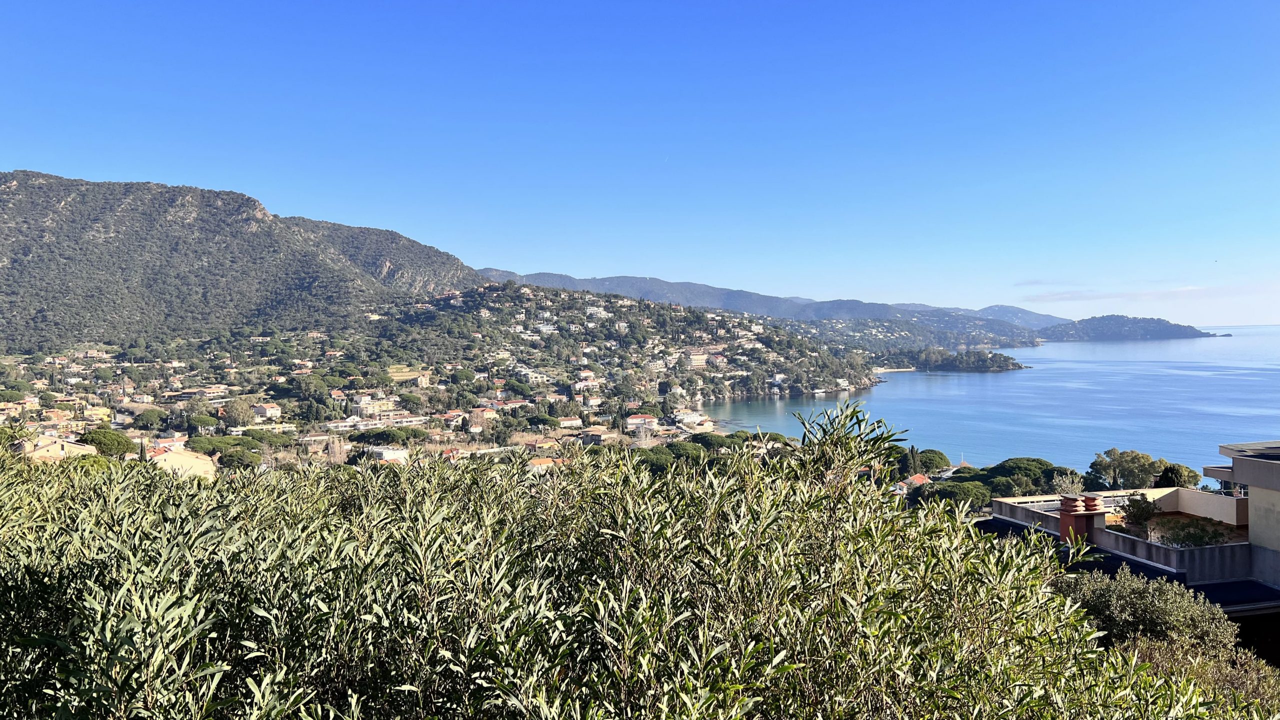 location-appart-magnifique